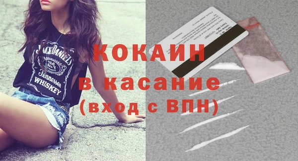 индика Семилуки